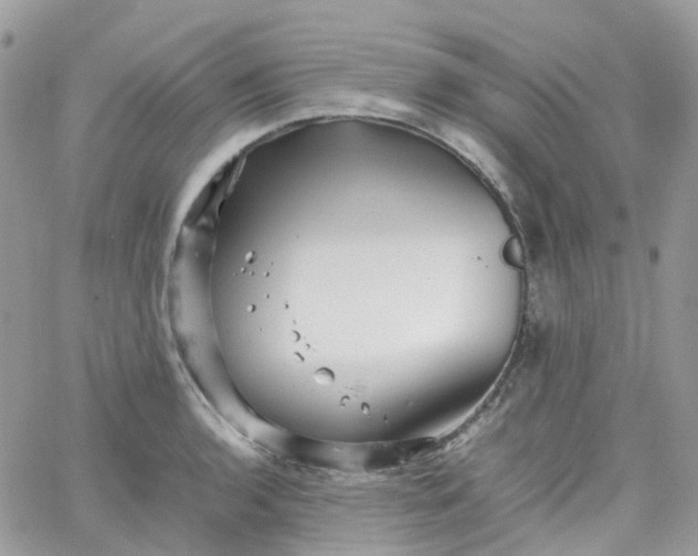 X0000066081136200603241425