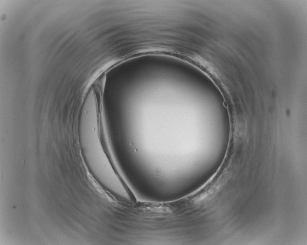 X0000066081137200603241425