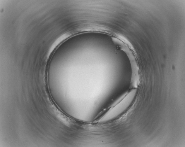 X0000066081138200603241425