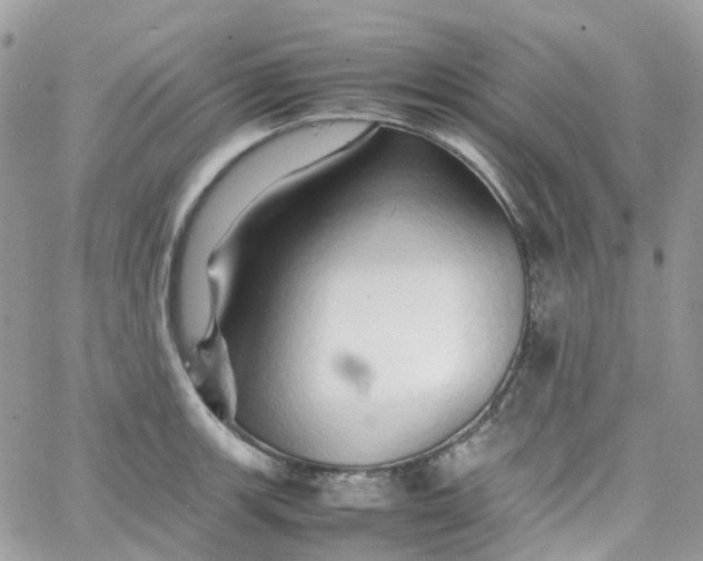 X0000066081139200603241425