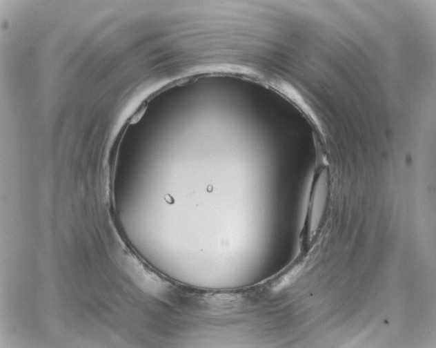 X0000066081140200603241425