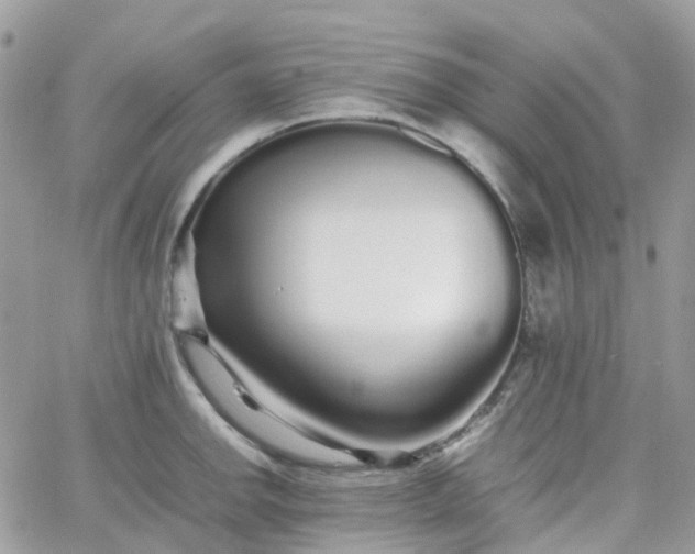 X0000066081142200603241425