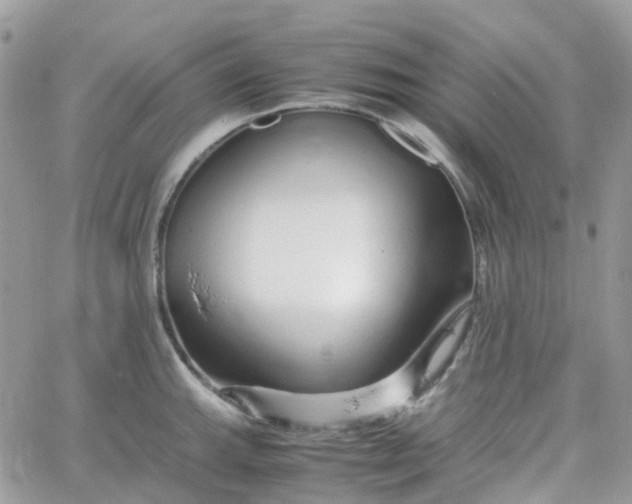 X0000066081143200603241425