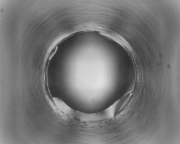 X0000066081144200603241425