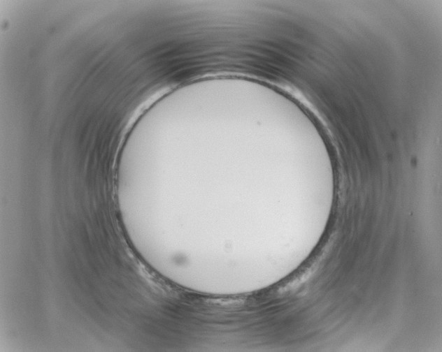 X0000066081145200603241425