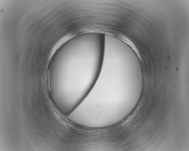 X0000066081146200603241425