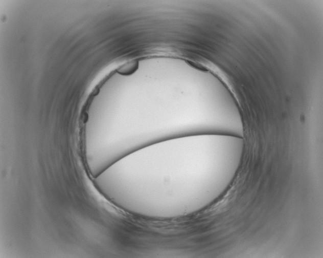 X0000066081147200603241425