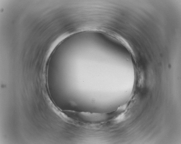 X0000066081148200603241425