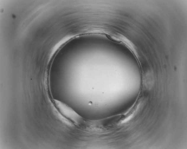 X0000066081149200603241425