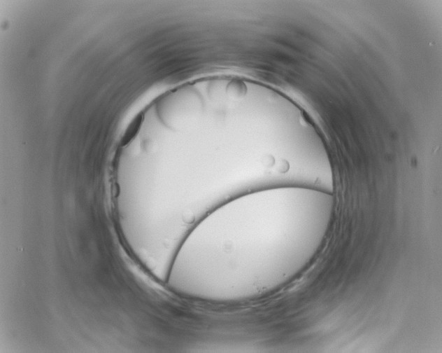 X0000066081151200603241425