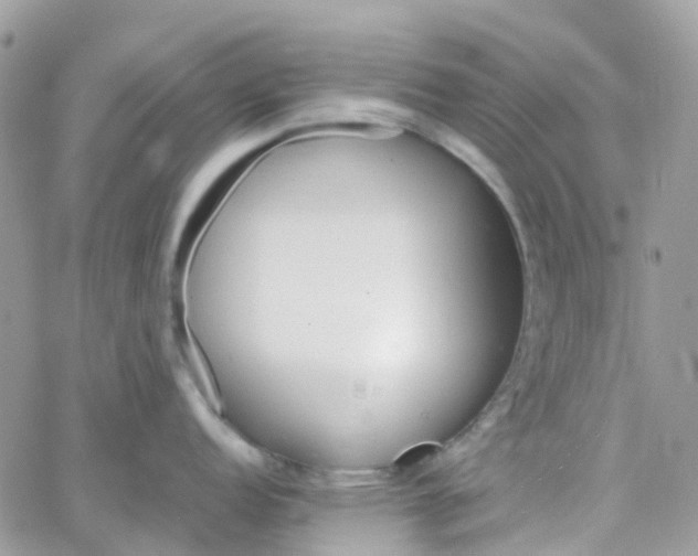 X0000066081152200603241425