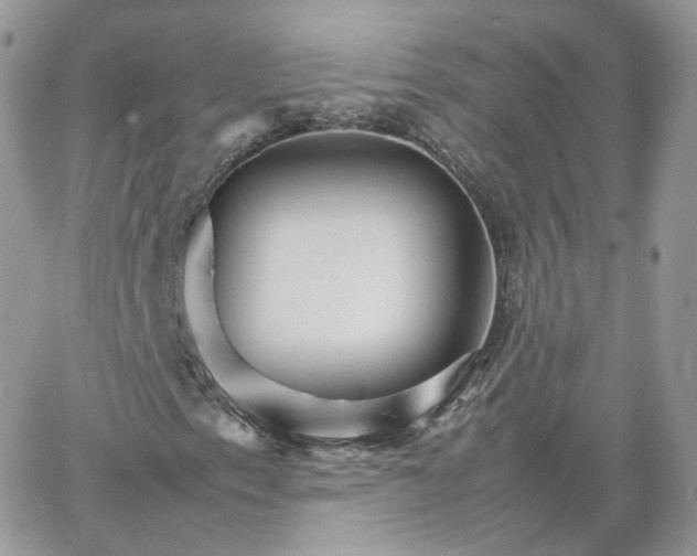 X0000066081153200603241425