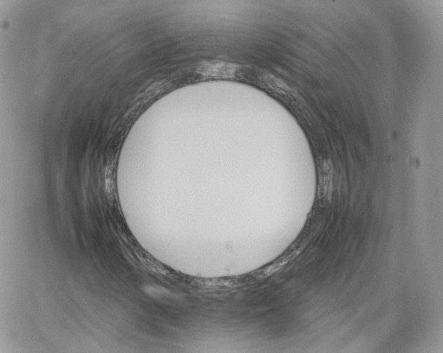 X0000066081154200603241425