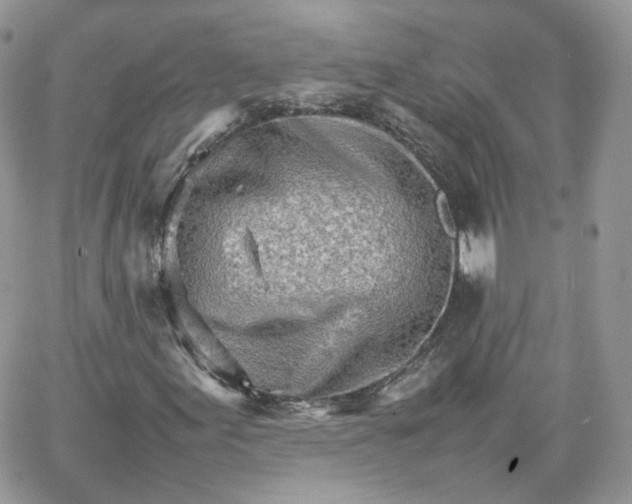 X0000066081155200603241425