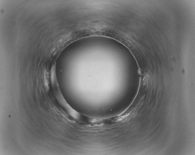 X0000066081156200603241425