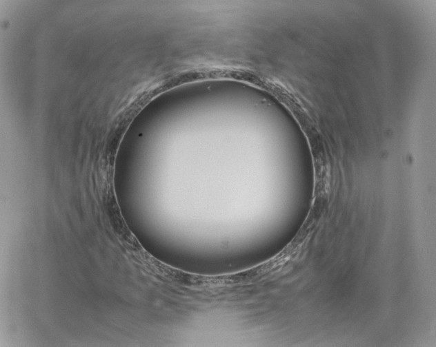 X0000066081157200603241424