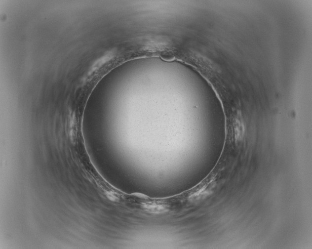 X0000066081158200603241424