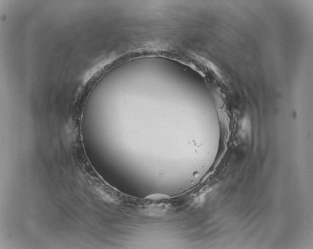 X0000066081160200603241424