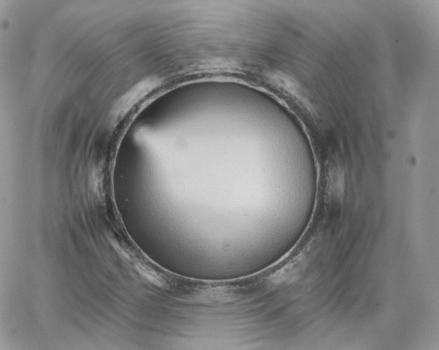 X0000066081162200603241424