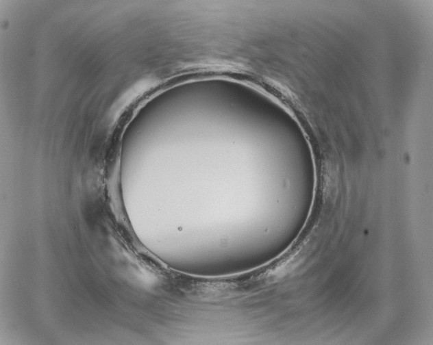 X0000066081163200603241424