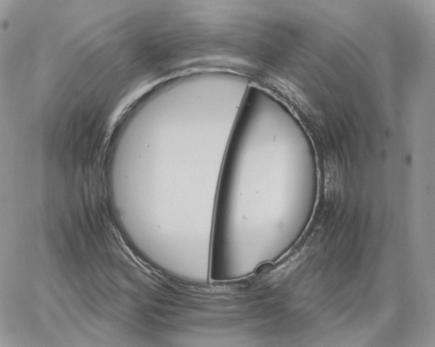 X0000066081164200603241424