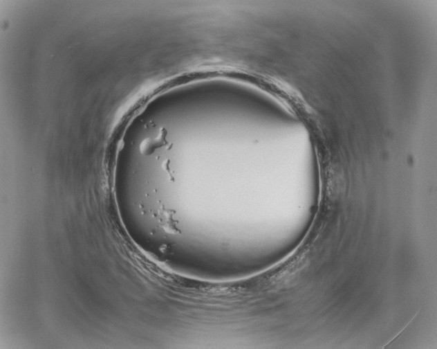 X0000066081167200603241424