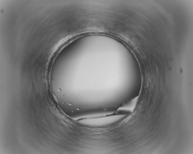 X0000066081168200603241424