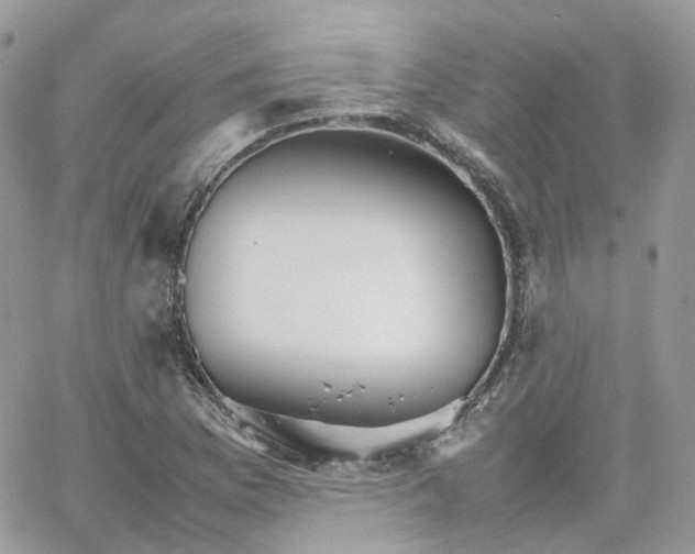 X0000066081169200603241424