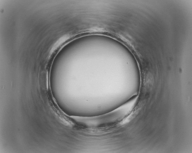 X0000066081171200603241424