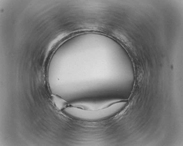 X0000066081172200603241424