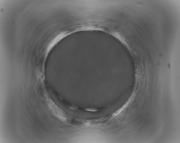 X0000066081173200603241424