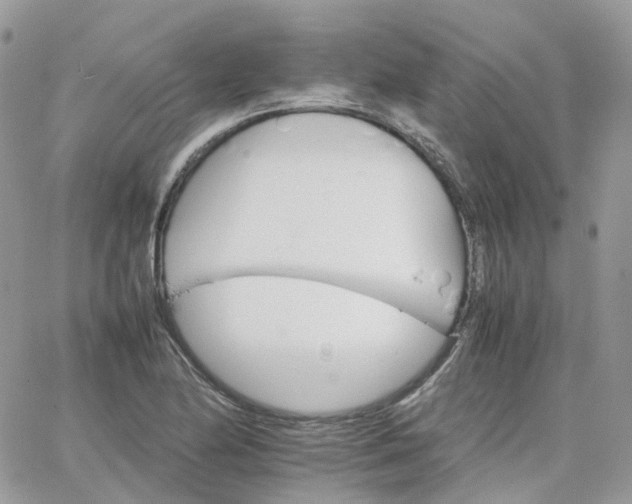 X0000066081174200603241424