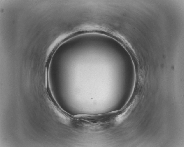 X0000066081175200603241424