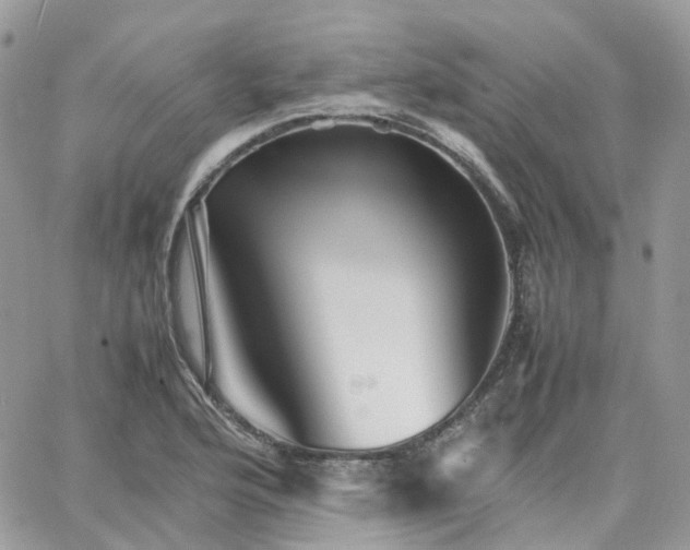 X0000066081176200603241424