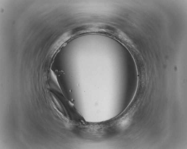 X0000066081177200603241424