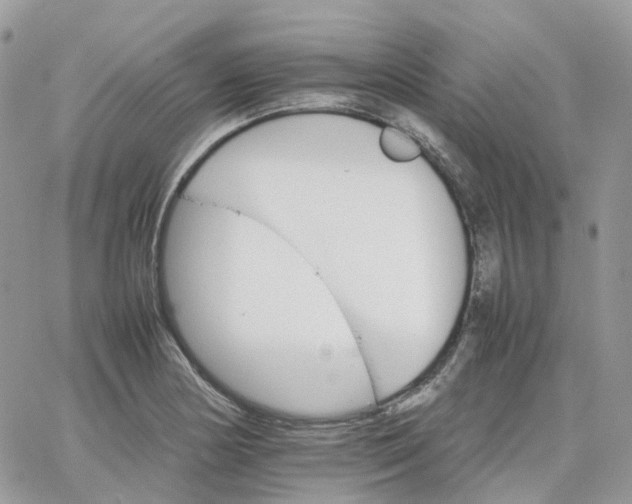 X0000066081178200603241424