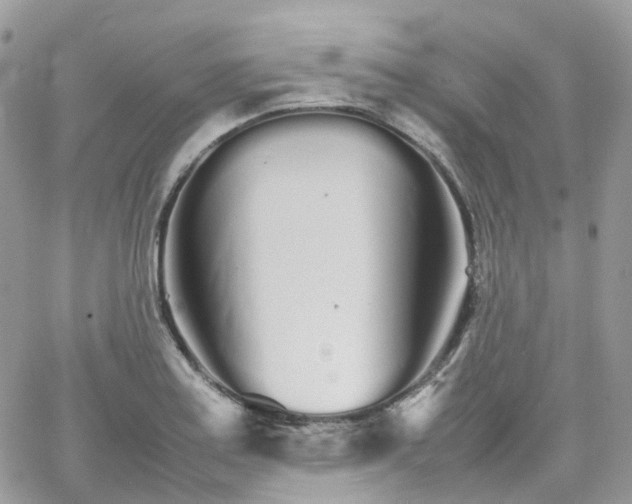 X0000066081179200603241424