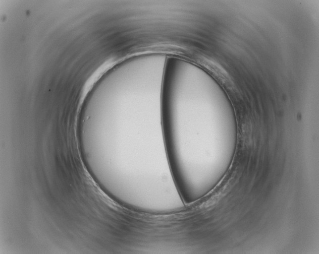 X0000066081180200603241424