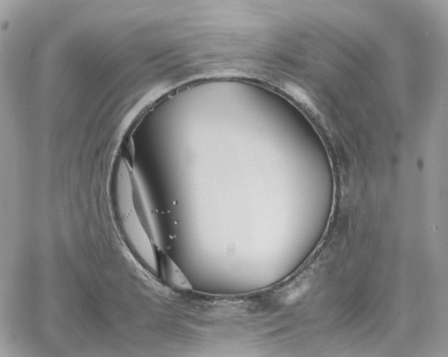 X0000066081181200603241424