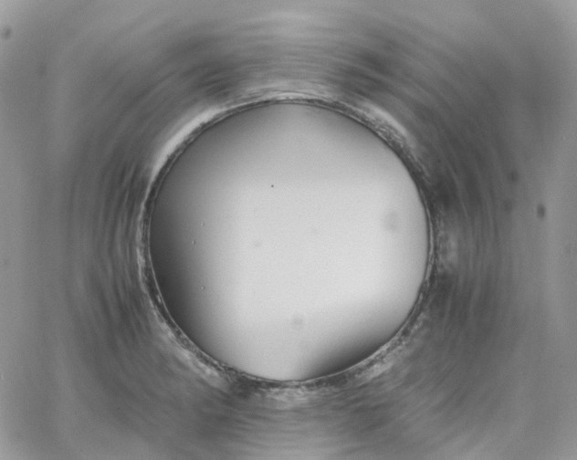 X0000066081182200603241424