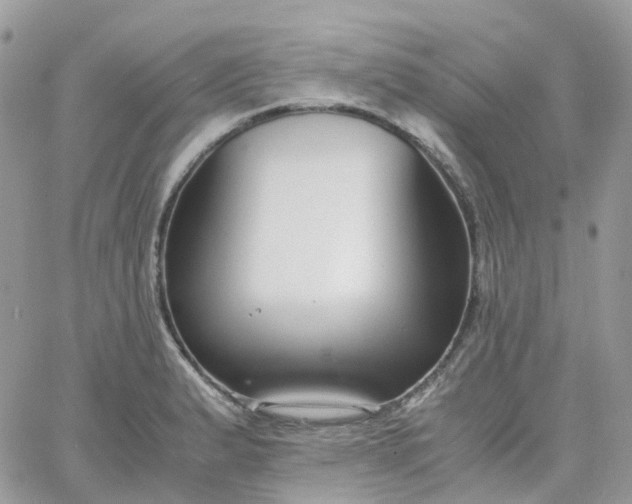 X0000066081183200603241424