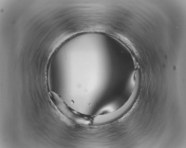 X0000066081184200603241424