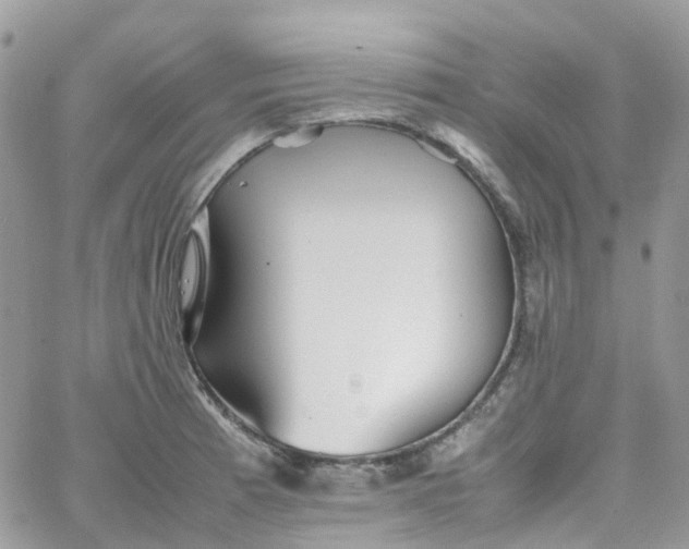 X0000066081185200603241424