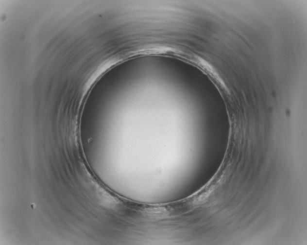 X0000066081186200603241424