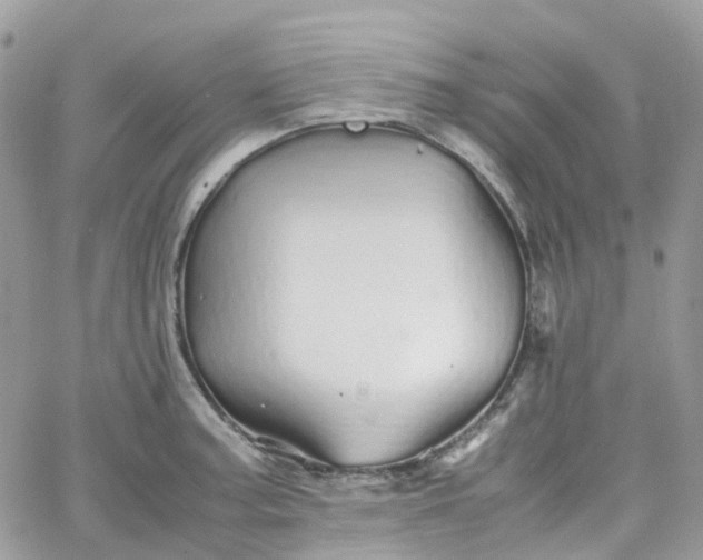 X0000066081187200603241424