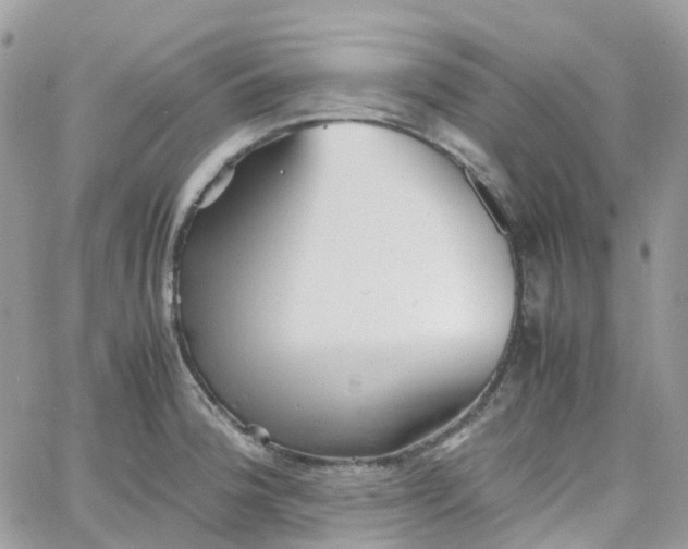 X0000066081188200603241424