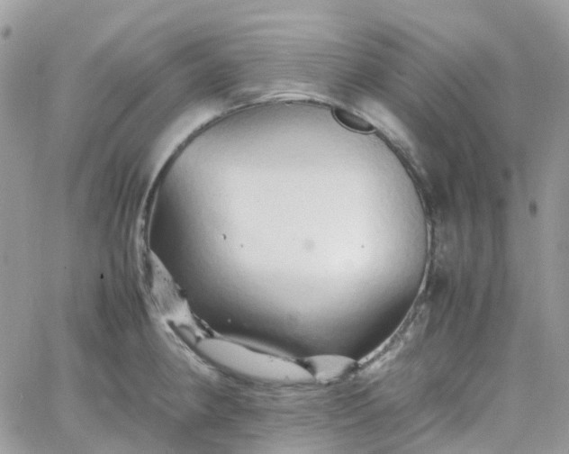 X0000066081190200603241424