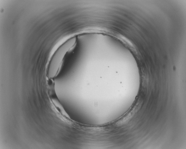 X0000066081192200603241424