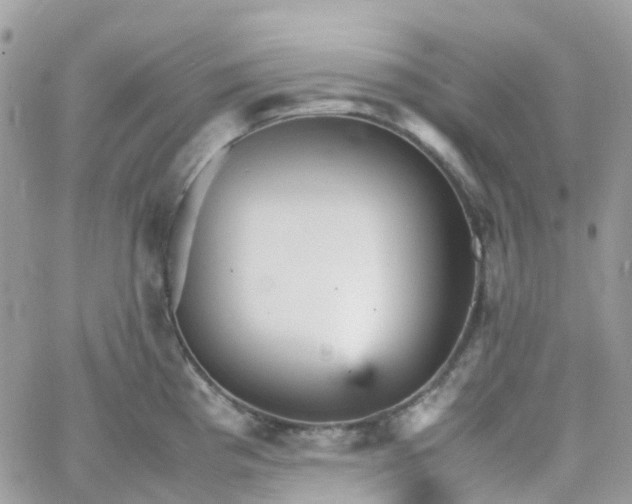 X0000066081193200603241424