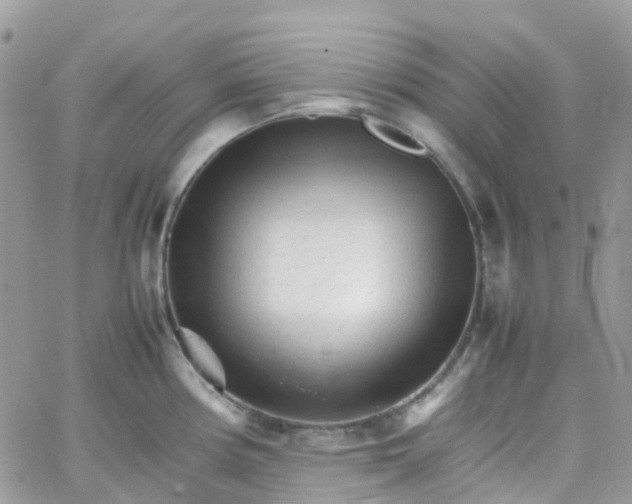 X0000066081194200603241424